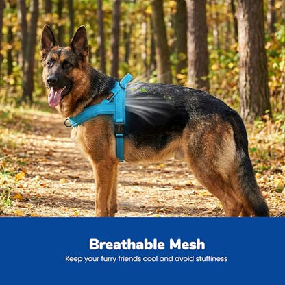 Didog No Pull Dog Harness with Breathable Mesh Padded,Reflective & Quick Fit Light Weight Dog Strap Vest Harness,Easy for Walking Training (L:Chest 26-32", Mesh-Blue) - color: Blue, size: L: Chest 26-32", Fit 50-80 lbs