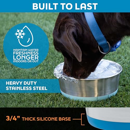Master Pet Supply Stainless Steel Dog Bowls Set of 2 with Extra Thick Silicone Base - 4 Cup (32 oz) True Blue, Non-Slip, Dishwasher Safe Metal Bowls, Pet Dog Food Bowl for Dogs, Cats, Anti Rust - color: True Blue, size: 4 Cups (32 oz) 2 Pack