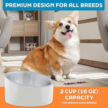 Master Pet Supply Stainless Steel Slanted Dog Cat Food Bowl - 16 oz Heavy Duty - Bone White, Double Wall Insulated, Non-Slip Elevated Bowl for French Bulldogs Pugs Cats, Anti Rust Dishwasher Safe - color: Bone White, size: 2 Cups (16 oz)