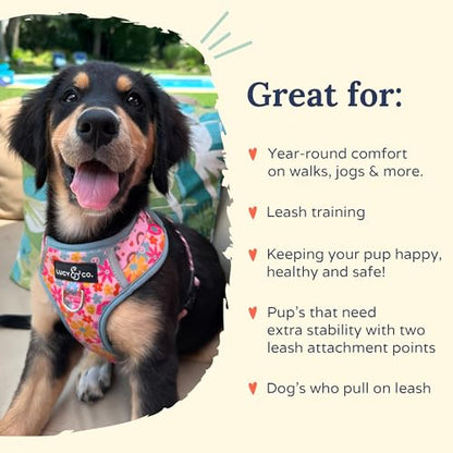 Lucy & Co. Cute No-Pull Y2K Baby Harness - Stop Pulling & Walk Easy - Harness Available in XS-XL for Small, Medium, and Large Dogs - Y2K Baby (X-Large) - color: The Y2K Baby No-Pull Harness, size: X-Large
