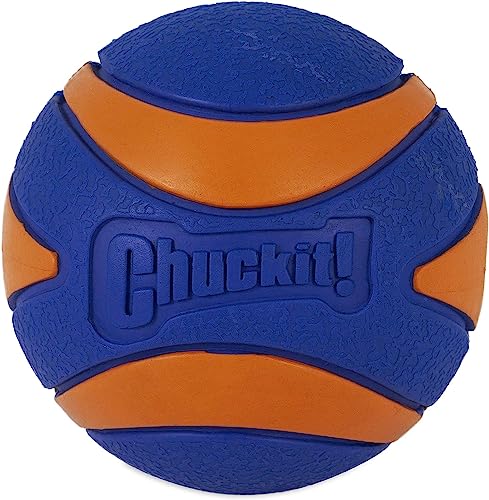 Chuckit! Ultra Squeaker Balls for Dogs, Floating Water Pet Toys, Durable Rubber Pet Toy, Bouncy Squeaky Fetch Balls for Dogs, Medium (2.5") 2 Count (Pack of 12) - size: Medium (Pack of 12), style: Squeaker