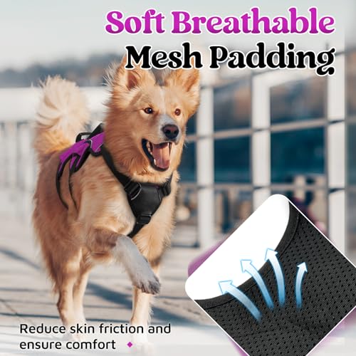 rabbitgoo Escape Proof Dog Harness, Soft Padded Full Body Pet Harness, Reflective Adjustable No Pull Vest with Lift Handle and Leash Clip for Large Dogs Walking Hiking Training, M, Purple - color: Purple, size: Medium (Pack of 1)