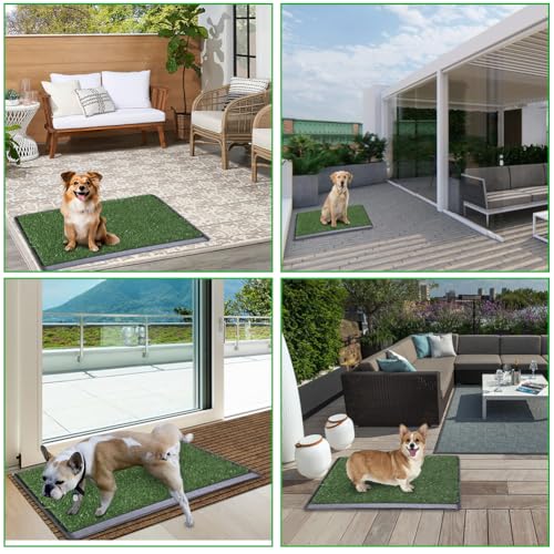 LITA Indoor Dog Litter Box for Pet Training, Potty System (20x25) - size: 20x25