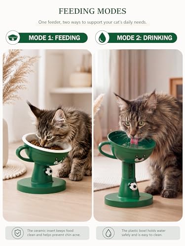 Raised Cat Bowl Elevated Cat Feeding Station, 7-Level (4.7-8.2) Height Food and Water Bowls for Cats and Small Dogs, 60° Tilt Cats Feeder for Indoor Spine Protection Anti-Vomiting, Green - color: Green