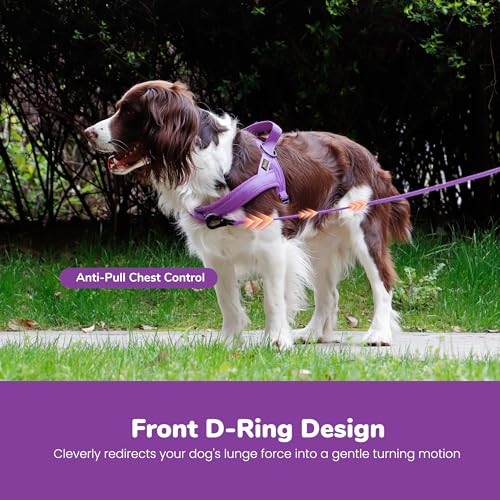 Didog No Pull Dog Harness with Breathable Mesh Padded,Reflective & Quick Fit Light Weight Dog Strap Vest Harness,Easy for Walking Training (XS:Chest 15-18", Purple) - color: Purple, size: XS: Chest 15-18", Fit 9-18 lbs