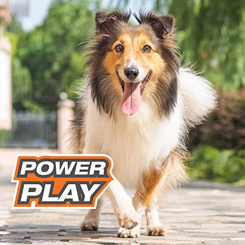 Nylabone Power Play Felt Football Gripz Fetch Toy, Squeaky Ball Chew Toy for Dogs, Medium (1 Count) - size: Medium