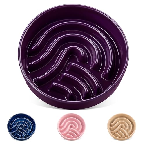 vancasso Slow Feeder Dog Bowl, 1.5 Cup Ceramic Slow Feeding Food Dish for Small and Medium Breed, Puzzle Dog Food Bowl for Fast Eater, Dark Purple - color: Dark Purple, size: M - 1.5 Cups