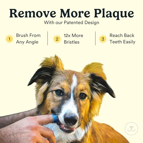 Jasper Dog Toothbrush, 360 Degree Pet Tooth Brushing Kit, Cat Toothbrush, Canine Dental Care & Teeth Cleaning Kit, Pet Finger Tooth Brush, Use with Dog Toothpaste, 2-Pack Pink - color: Pink (2-pack)