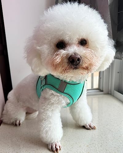 SOLMOONY Dog Harness (Medium, Green) - Jacquard Mesh, Easy Step-in Design, Reflective Strip, No Pull for Small Medium Dogs - color: Green, size: M