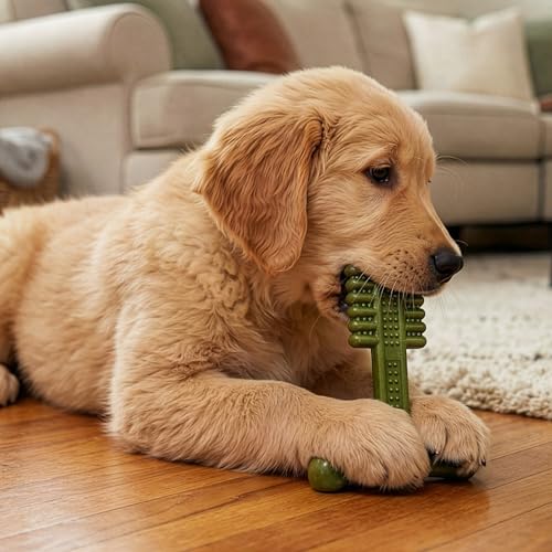SPOT Bam-Bones Plus Toothbrush Dog Chew Toy for Small Dogs 10–30 lbs, Bamboo & Nylon Dental Chew with Mint & Baking Soda, Cleans Teeth & Freshens Breath, for Moderate to Heavy Chewers, 4 Inch - size: 4 Inch (Pack of 1)