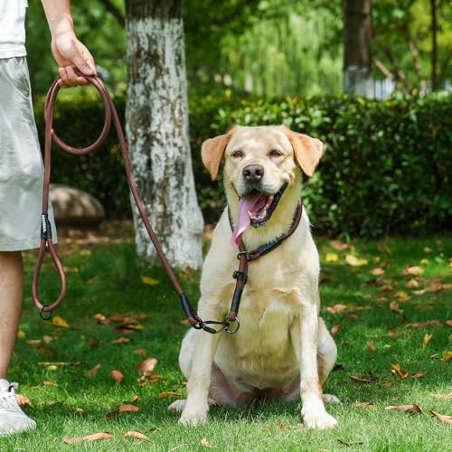 Rope Dog Leash, 6 Foot Heavy Duty Dog Leash with Aviation Aluminum Auto Locking Carabiner, Strong Nylon Pet Lead for Small, Medium, Large Dogs (Brown, 6FT) - color: Brown, size: 6 Foot Single Handle