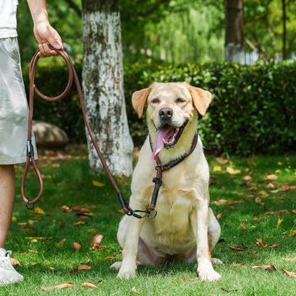 Rope Dog Leash with Two Handles, 6 Foot Heavy Duty Dog Leash with Aviation Aluminum Auto Locking Carabiner, Strong Nylon Pet Lead for Small, Medium, Large Dogs (Brown, 6FT-Two Handle) - color: Brown, size: 6 Foot Two Handle
