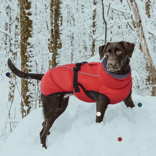 IECOii Extra Warm Dog Coat - Reflective, Adjustable Winter Jacket with Buckle & Turtleneck for Small to Extra Large Dogs - color: Pure Red, size: Small(Chest:12.6-16.5 in)