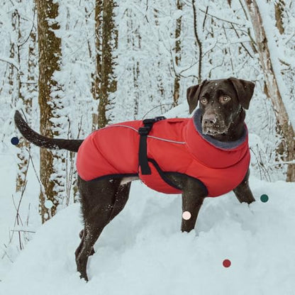IECOii Extra Warm Dog Coat - Reflective, Adjustable Winter Jacket with Buckle & Turtleneck for Small to Extra Large Dogs - color: Pure Red, size: Small(Chest:12.6-16.5 in)