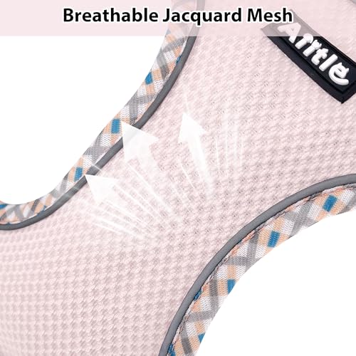 AIITLE Small Dog Harness - Breathable Double-Layer Jacquard No-Choke Vest, Durable Anti-Tear Fabric with Reflective Trim - Perfect for Running, Parties, Daily Walks (Blue-Pink, XS) - color: Blue-Pink, size: XS(Chest: 11.5 - 13.5")