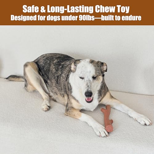 SPOT Bam-Bones Plus Branch -Bamboo Fiber & Nylon, Durable Long Lasting Dog Chew for Aggressive Chewers – Great Toy for Adult Dogs & Teething Puppies Under 90lbs, Non-Splintering, 9.5in, Beef Flavor - size: 9.5 inch (Pack of 2)