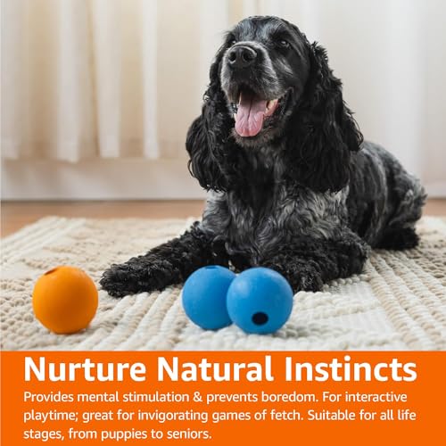 Amazon Basics Interactive Bouncy Durable Rubber Dog Toy Balls, 2.5 inch, Blue, Orange, Pack of 3 - size: 2.5 inch, style: Fetch Balls (Pack of 3)