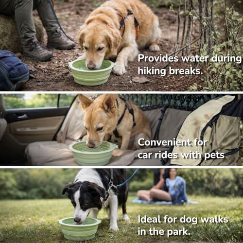 Collapsible Dog Bowls 2 Pack (22oz Each) – Portable Foldable Silicone Travel Bowl Set with Slow Feeder & Carabiner Clip for Hiking Camping Backpack | Dishwasher Safe | for Medium Dogs