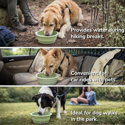 Collapsible Dog Bowls 2 Pack (22oz Each) – Portable Foldable Silicone Travel Bowl Set with Slow Feeder & Carabiner Clip for Hiking Camping Backpack | Dishwasher Safe | for Medium Dogs