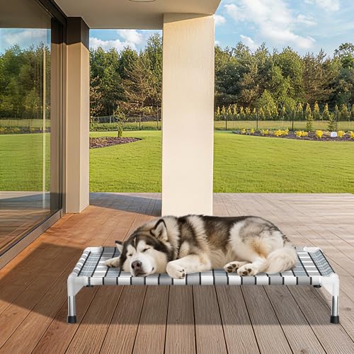 Caghash Elevated Outdoor Raised Dog Bed Outdoor Dogs Bed Lifted Pet Hammock Bed Dog Cot for Large Pet Taste Life, Start with A Pet Bed 39'' x 27'' x 6.5'' - size: Standard - Large