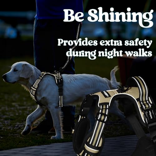 rabbitgoo Dog Harness Small Sized, No Pull Easy On & Off with 3 Buckles Pet Harness, Adjustable Soft Walking Vest with 2 Clips and Handle, Reflective for Small Dogs, Beige, S - color: Beige, size: Small