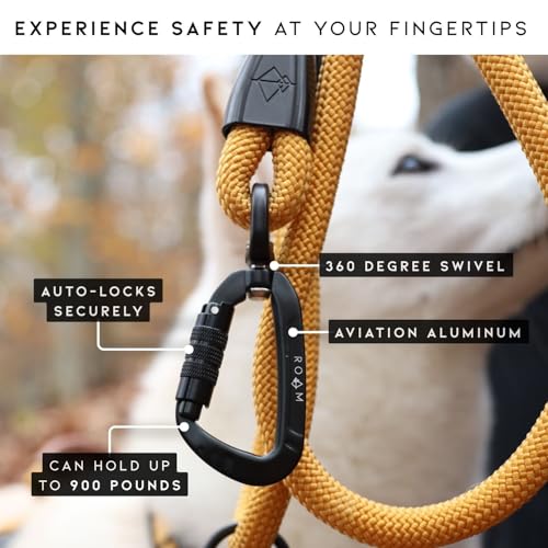 MADE TO ROAM Premium Explorer Leash - Climbing Rope Leash with Autolocking Aviation Aluminum Carabiner - Virginia Mountains, 4ft - color: Virginia Mountains, size: 4 Feet