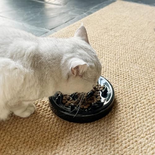 Slow Feeder Bowl for Cats and Small Dogs,Cilkus Fish Pool Design, Fun Interactive Bloat Stop Puzzle Feeder Bowl Healthy Eating Diet Made of Melamine Food Grade Material Dishwasher Safe (Black) - color: Black