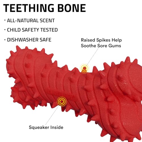 Playology Dog Toys | Teething Bone for Puppies and Young Dogs | Beef Scented Small Dog Bone Chew Toy | Teething Puppy Essentials - size: Small, style: Beef