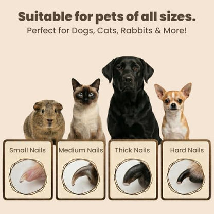 2-in-1 Dog & Cat Nail Clippers with Light, USB Rechargeable Pet Nail Trimmer, Safety Guard to Prevent Overcutting, Sharp Blade for Thick Nails, Quiet Grooming Tool for Large Small Pets - color: white