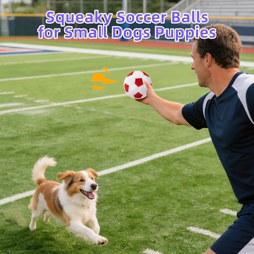 3 Pack Squeaky Dog Toys Balls, Stuffed Plush Football Soft Chew Dog Balls for Puppy, Small & Medium Dogs