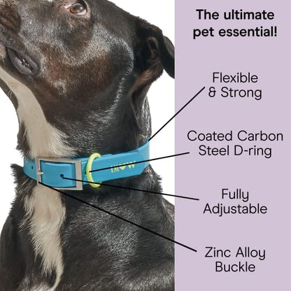Wild One Dog Collar, Easy-Clean, All Weather Flex-Poly Strap with Metal, Durable, Dirt and Odor Resistant (Hudson, XL) - color: Hudson, size: XL