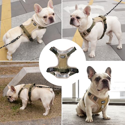 Small Dog Harness, Heavy Duty Tactical No-Pull Reflective Harness & Collar Set — Secure, No Choke, Easy On and Off Pet Vest, Adjustable Dog Vest with Breathable Padded for Walking Hiking Training - size: Small