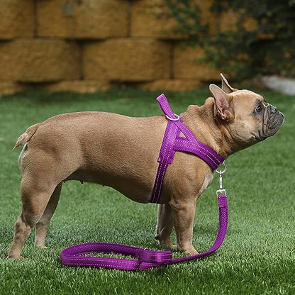 Plutus Pet No Pull Dog Harness with Breathable Mesh Padded, Adjustable Reflective Escape Proof Dog Harness, Quick Fit Dog Vest Harness for Small Medium Large Dogs(XXS, Purple) - color: Purple, size: XXS: chest 11.8"-15"