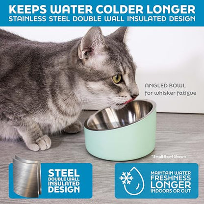 Master Pet Supply Stainless Steel Slanted Dog Cat Food Bowl - 16 oz Heavy Duty - Stainless Steel, Double Wall Insulated, Non-Slip Elevated Bowl for French Bulldogs Pugs Cats, Anti Rust Dishwasher Safe - color: Stainless Steel, size: 2 Cups (16 oz)