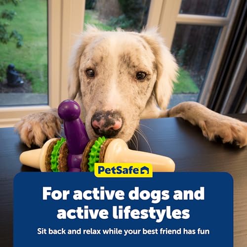 PetSafe Busy Buddy Jack - Treat Holding Dog Chew Toys - Helps Clean Teeth - Vanilla Scented Rubber for Strong Chewers - Treat Refills Included - Interactive Dog Toy Keeps Dogs Busy - Purple, Large - size: Large, style: Jack