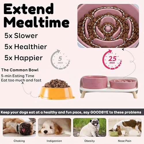 Elevated Slow Feeder Dog Bowls - Ceramic Food and Water Bowl Set with Stand - Raised Pet Dishes for Small and Medium Sized Dogs - color: Pink