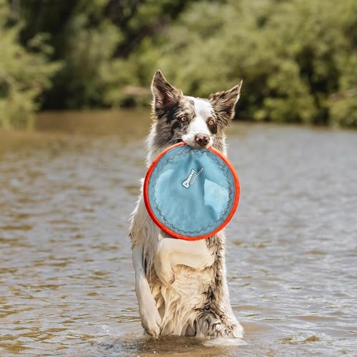 Chuckit! Paraflight Flying Disc Dog Toy - Water Floating Flyer - Durable Nylon Construction with Soft Rubber Edges - For Medium and Large Dogs - Size Large - 9.75" L x 9.75" W - Pack of 1 | Durable nylon build with soft rubber edges, made for medium and l