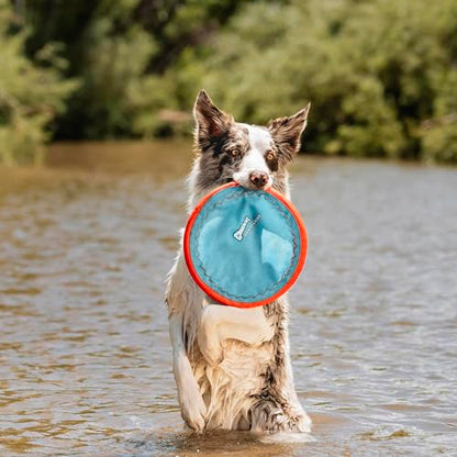 Chuckit! Paraflight Flying Disc Dog Toy - Water Floating Flyer - Durable Nylon Construction with Soft Rubber Edges - For Medium and Large Dogs - Size Large - 9.75" L x 9.75" W - Pack of 1 | Durable nylon build with soft rubber edges, made for medium and l