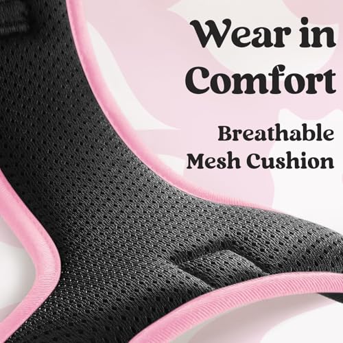 rabbitgoo Dog Harness Small Sized, No Pull Easy On & Off with 3 Buckles Pet Harness, Adjustable Soft Walking Vest with 2 Clips and Handle, Reflective for Small Dogs, Black & Pink, S - color: Black & Pink, size: Small