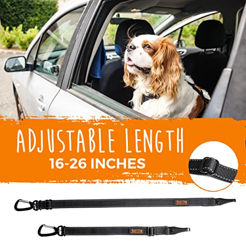 Mighty Paw Dog Seat Belt For Car - LATCH Compatible Adjustable Dog Seatbelt Harness for Small, Medium and Large Pets. Distraction Free Driving, Heavy-Duty Design with Aviation Grade Aluminum Carabiner - style: Latch Bar Attachment