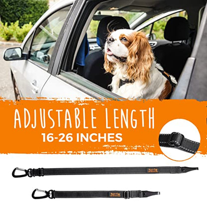 Mighty Paw Dog Seat Belt For Car - LATCH Compatible Adjustable Dog Seatbelt Harness for Small, Medium and Large Pets. Distraction Free Driving, Heavy-Duty Design with Aviation Grade Aluminum Carabiner - style: Latch Bar Attachment