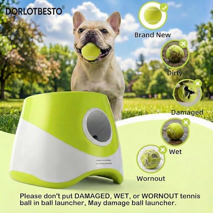 Automatic Ball Launcher