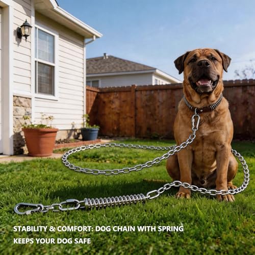 Heavy Duty Dog Tie Out Chain with Spring for Yard, 304 Stainless Steel 4MM Chew Proof Metal Leash for Large Dogs, 200lbs Shock Absorbing Dog Runner Cable (1 Spring+Chain/25ft) - size: 1 Spring+Chain/25ft/4MM/200lbs