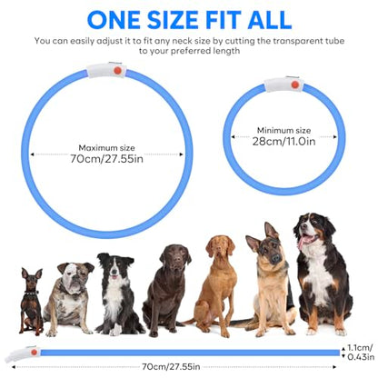 HIGO Light Up Dog Collar, Lightweight LED Dog Collar for Dogs Cats, USB Rechargeable LED Dog Necklace Light Makes Your Beloved Dogs Glow in the Dark (Blue-Silicone) - color: Blue-Silicone