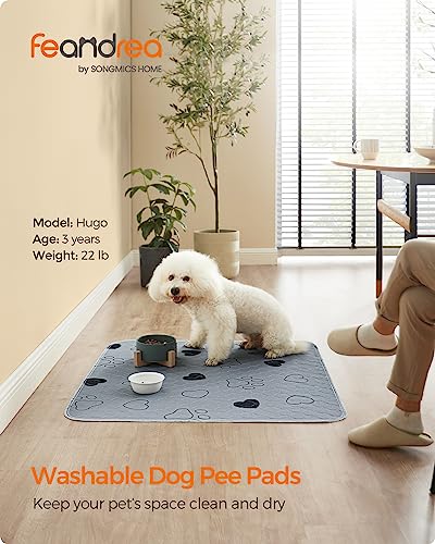 Feandrea Washable Dog Pee Pads, 2 Pack, Reusable Dog Pads, 36 x 34 Inches, M, Waterproof Pet Training Pads, Leakproof, Non-Slip, Super Absorbent, Gray UPTD034G01 - size: M (36"L x 34"W)