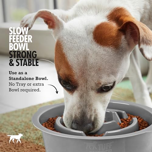 Tuff Pupper Slow Feeder Insert Bowl | Puzzle Maze Slows Down Eating | Elevated Feeder Tray Bowls | Standalone Dog Bowl | Pet Bowls Insert | Easy Clean Dishwasher Safe (4 Cups - Fits 8.9-9.3 Inch Hole) - size: 4 Cup - 8.9-9.3 Inch Feeder Holes