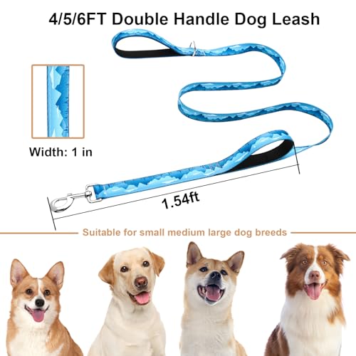 6ft Dog Leash with Two Padded Handles, Heavy Duty Strong Nylon Pet Leash with Soft Neoprene Handle for Medium and Large Dogs, Blue Sunset - color: Blue Sunset, size: 1 in x 6 ft