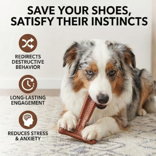SPOT Bam-Bones Plus Coffee Wood T-Bone Dog Chew Toy, Beef Flavor, Nylon and Coffee Wood Fiber Blend, Durable Chew for Heavy Chewers and Dogs Under 60 lbs, Non-Splintering Dental Chew, 6 Inch - size: 6 Inch (Pack of 1)