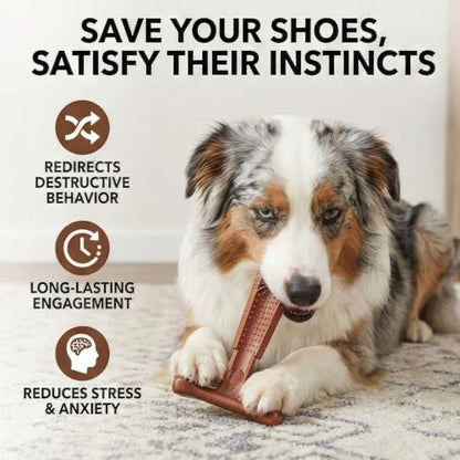 SPOT Bam-Bones Plus Coffee Wood T-Bone Dog Chew Toy, Beef Flavor, Nylon and Coffee Wood Fiber Blend, Durable Chew for Heavy Chewers and Dogs Under 60 lbs, Non-Splintering Dental Chew, 6 Inch - size: 6 Inch (Pack of 1)