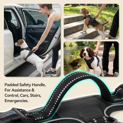 PHOEPET No Pull Dog Harnesses for Small Puppies Reflective Adjustable Front Clip Vest with 2 Metal Leash Attachment Hooks Soft Handle (S, Black) - color: Black, size: Small